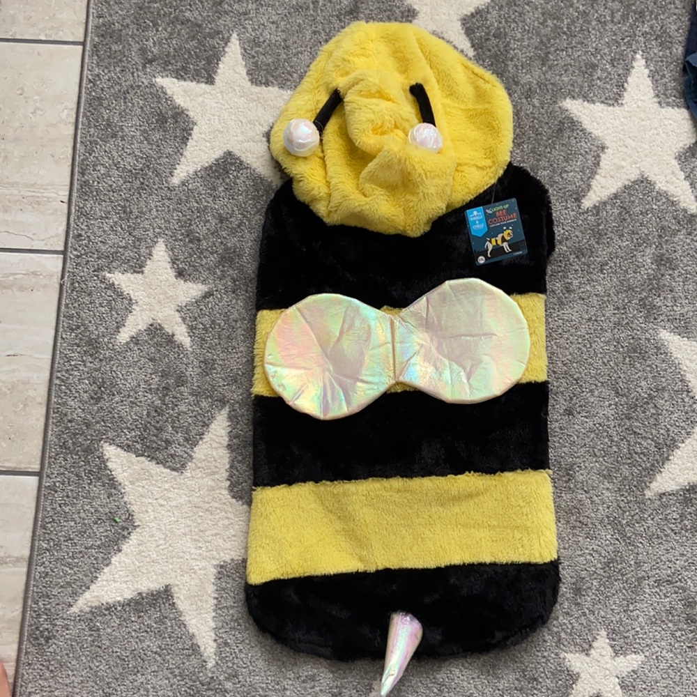 Bee costume for XXL dog